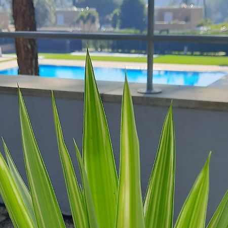 Barca House - Nature - Golf - Pool & Beach Esposende Dış mekan fotoğraf